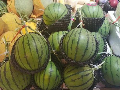 贰万吃瓜,揭秘娱乐圈幕后真相