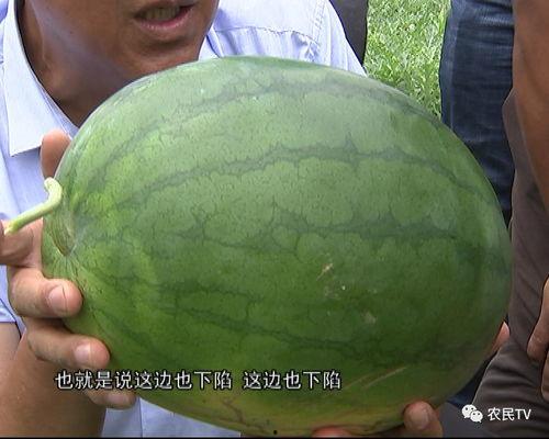 农女吃瓜,吃瓜也能吃出幸福生活