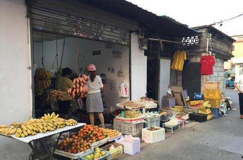 深圳沙井吃瓜事件,一场网络热议背后的真相与反思