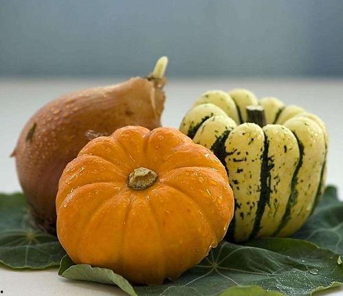 吃楠瓜,传统美味与现代创新的完美融合