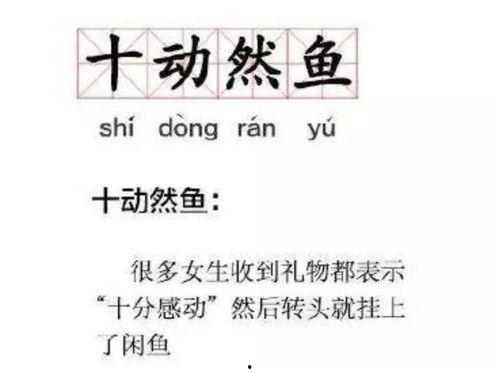 闲鱼吃瓜君,揭秘网络红人背后的故事与争议