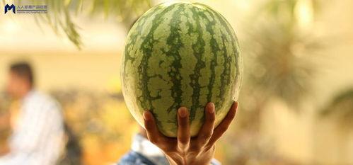 娱乐圈吃瓜2021,吃瓜群众的热议焦点回顾