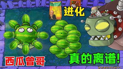 吃瓜打僵尸,趣味横生的生存挑战之旅