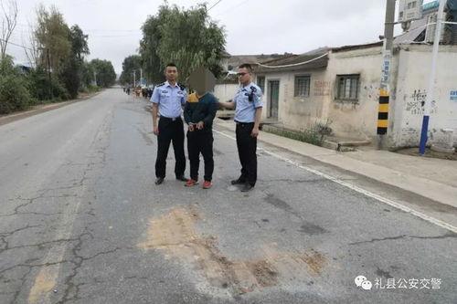 礼县吃瓜事件始末,一场网络舆论的风波与反思