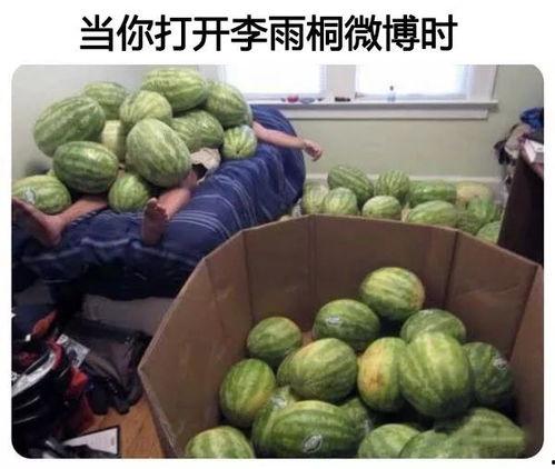 顶级吃瓜大赛,年度娱乐圈风云录