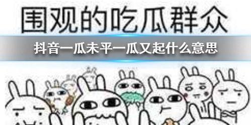 抖音吃瓜群众最新瓜,揭秘娱乐圈惊人内幕