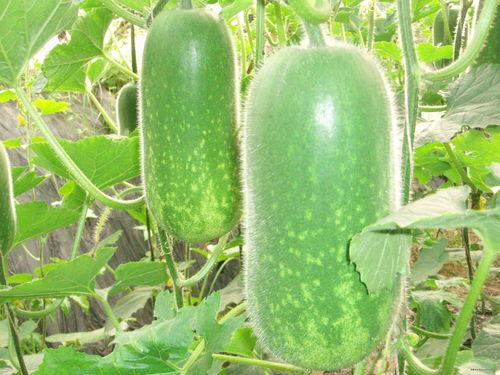 801吃瓜,揭秘娱乐圈背后的那些事儿