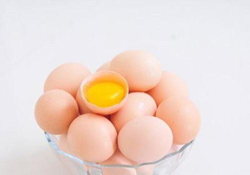 带你吃瓜吃鸡蛋棉花糖,带你品尝瓜果、鸡蛋与棉花糖的甜蜜之旅