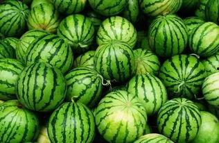 吃瓜的群,网络社交的趣味与争议