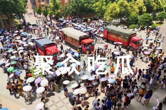 湘潭大学 吃瓜,揭秘背后的热点与真相