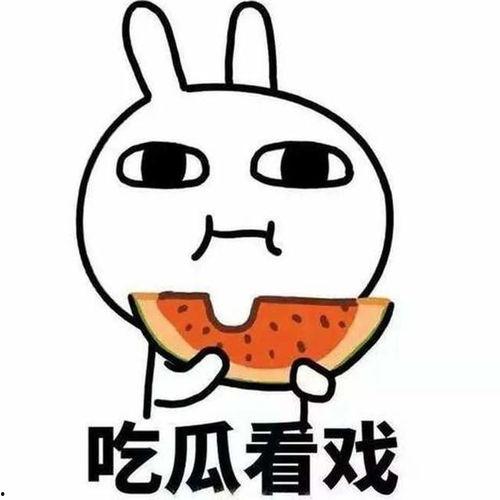 吃瓜看戏喵爷,揭秘娱乐圈幕后风云