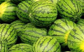 吃瓜挑大的,挑大个儿的瓜，尽享夏日清凉