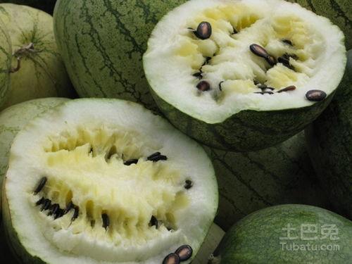 偷瓜不成吃籽瓜,吃籽瓜的奇妙经历