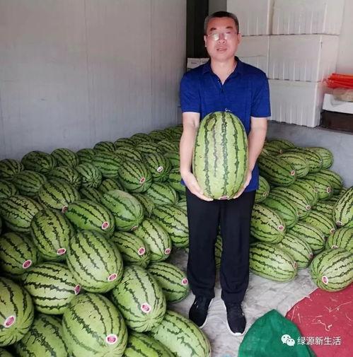 华水吃瓜,揭秘那些年我们一起“吃瓜”的日子