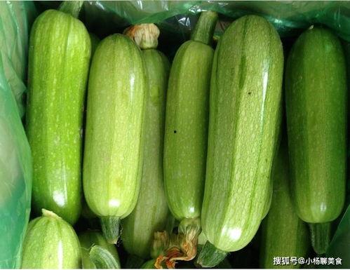 妇科病可以吃白瓜么,妇科病患者适宜食用白瓜的饮食建议