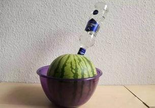 法神吃瓜,揭秘娱乐圈背后的秘密与真相