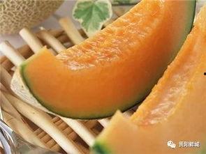吃哈密瓜之歌