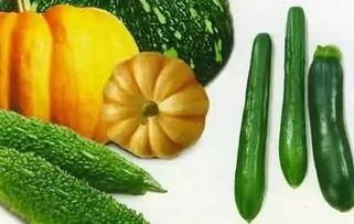 花洒吃瓜,夏日消暑新体验